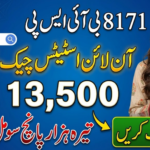 8171 BISP Gov Pk Check Online Status