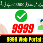 PMRRP NITB GOV PK 9999
