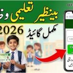 Benazir Taleemi Wazaif Check Online by CNIC 8171