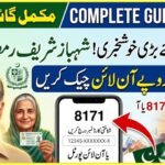 Shehbaz Sharif Ramzan Package 13000 Online Check