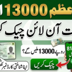 Prime Minister 13000 Check Online